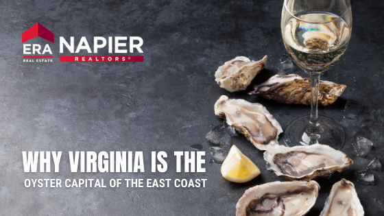 Oyster Capital Virginia